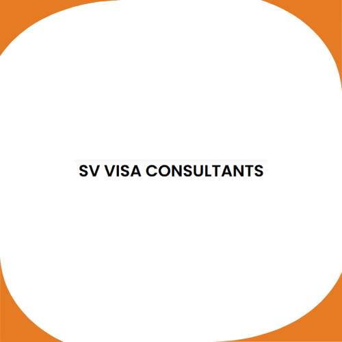 SV VISA CONSULTANTS LLC
